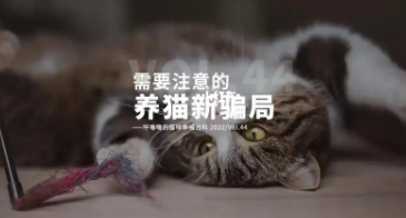 免费领养宠物是什么套路（免费领养宠物送到家）