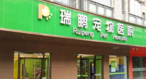 深圳宠物医院24小时营业（深圳宠物医院24小时急诊）