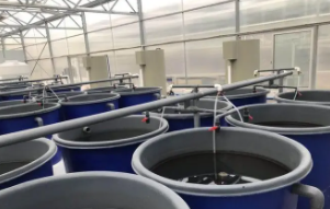 高密度养鱼设备一套要多少钱10米直进的（高密度养鱼设备一套要多少钱10米直进的）