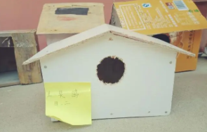 用布自制保暖鸟窝（用布自制保暖鸟窝的方法）