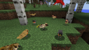 我的世界怎么养动物 各类动物圈养攻略（我的世界如何圈养动物）