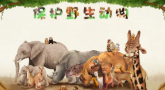 保护野生动物的意义英语（保护野生动物的意义英语作文80词）