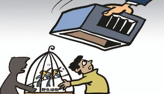 国家二级鸟类 立案标准（2023国家允许个人养的鸟）