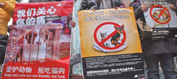 中国反虐动物法为什么通不过（为什么中国不出台动物反虐法）