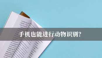 扫一扫识别猫品种在线（扫一扫识别猫品种的app）