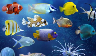 热带鱼吃什么鱼食最好养（热带鱼吃什么有营养）