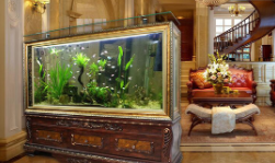 鱼缸摆放什么位置最佳风水（卧室鱼缸摆放什么位置最佳风水）