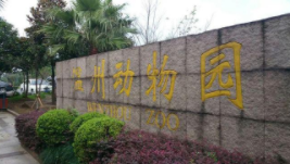 温州动物园开放时间及门票（温州动物园开放了吗,门票多少）