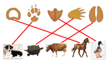 动物的脚印像什么大全（小猪的脚印像什么形状）