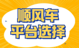 哪个平台的顺风车能带宠物（哪个平台的顺风车能带宠物进去）