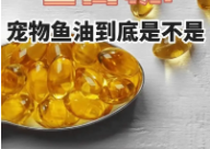 宠物鱼油推荐（宠物鱼油的作用）