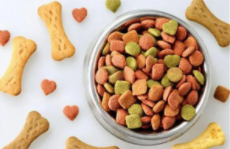 全球十大宠物食品品牌（全球十大宠物食品品牌排行榜）