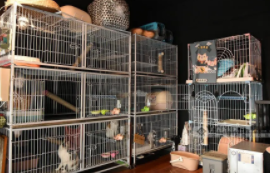 宠物寄养一般怎么收费（宠物寄养一般怎么收费天津）