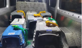 宠物托运是怎么运的（宠物托运的方式有哪些）