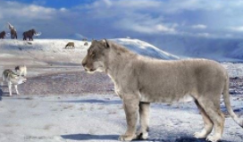 史上最大的猫科动物（史上最大的猫科动物排名）