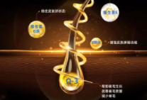 狗狗用鱼油国产十大品牌（狗狗鱼油十大排名）