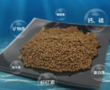 自制鱼食简单民间偏方（自制鱼食简单民间配方）