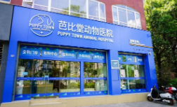 石家庄宠物医院排行榜前十名（石家庄正规的宠物医院哪家好?拜托）