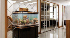 2024年鱼缸摆放最佳方位（2020年鱼缸方位）