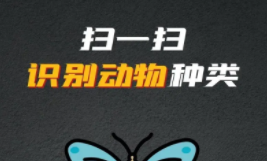 识别动物扫一扫（识别动物扫一扫软件）