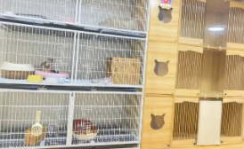 宠物寄养平台有哪些（宠物寄养有哪些服务）