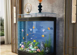 水族箱鱼缸报价（水族箱鱼缸报价及图片）