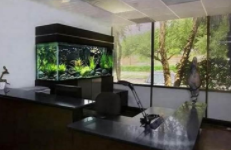 鱼缸在那里可以买到（鱼缸去哪里买）