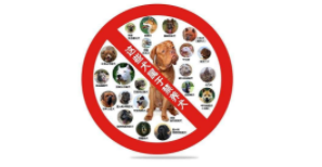 2023年深圳禁养犬有哪些（深圳2020禁养犬）