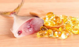 猫咪吃什么鱼油效果最好（猫猫吃什么鱼肝油）