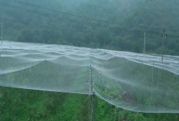 防鸟网厂家批发销售价钱（防鸟网厂家批发销售价钱多少）