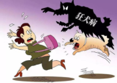 最新版本狂犬病潜伏期（狂犬病潜伏期最新说法）