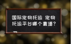 宠物托运平台哪个好（宠物托运平台哪个好一点）