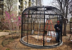 庭院大型鸟笼养鸟（庭院大型鸟笼养鸟好吗）