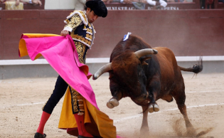 西班牙斗牛最后牛活着吗（西班牙斗牛结束牛都得死吗?）