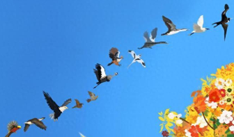 鸟类起源（鸟类起源于什么时代）