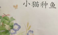 小猫种鱼的故事讲什么（小猫种鱼的故事）