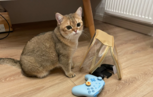 被猫咬了一下轻微破皮要打针吗（被猫咬了一下轻微破皮要打针吗猫打  过疫苗）