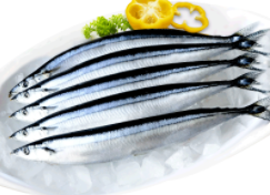 海洋鱼类名称介绍（海洋鱼类大全名称有什么）