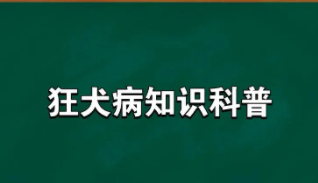 狂犬病潜伏期多长时间长达20年（狂犬病潜伏期多长时间长达20年那这么办）