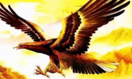 大鹏金翅雕的是什么鸟（金翅大鹏鸟有多大）