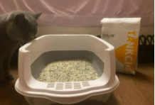 豆腐猫砂好还是混合猫砂好（有陪猫砂盆可以用豆腐砂吗）
