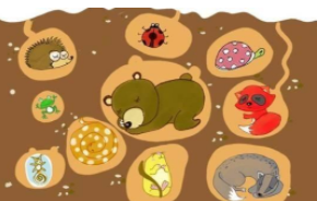 鸟类冬眠是怎么过冬的（写出6种小动物过冬的方式）