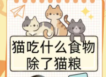 猫最喜欢吃什么食物（猫能吃的20种食物）