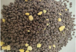 自制狗粮最简单方法（自制狗粮放什么蔬菜）