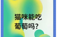 猫可以吃葡萄吗（猫咪吃多少葡萄会中毒）