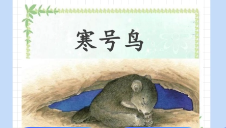 寒号鸟受冻的主要原因（寒号鸟怎么过冬）