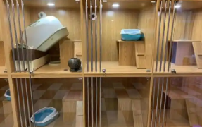 加盟宠物店要多少钱一个月（加盟宠物店要多少钱一个月）