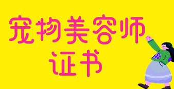 宠物美容师证怎么考（宠物美容师证怎么考,难考吗）
