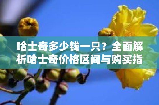 哈士奇多少钱一只？全面解析哈士奇价格区间与购买指南