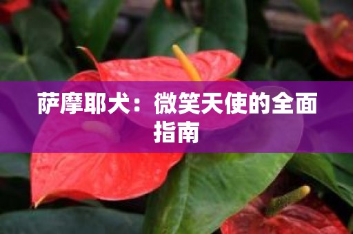 萨摩耶犬：微笑天使的全面指南